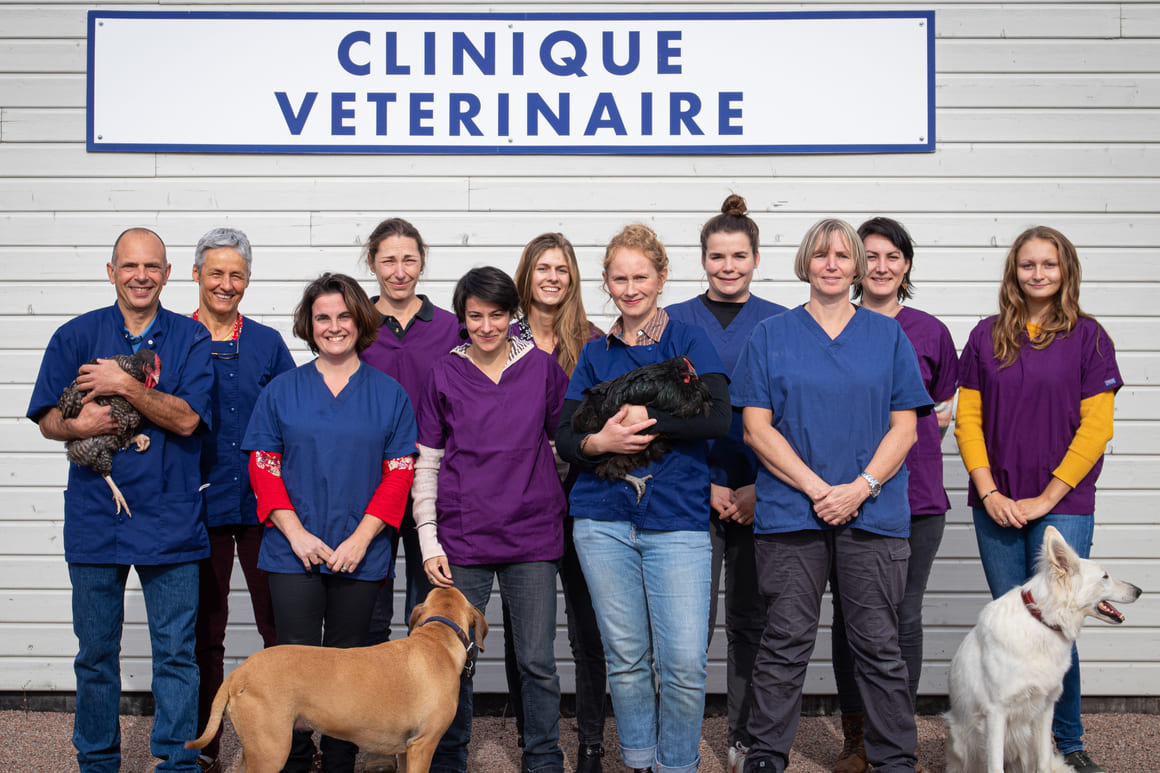 Equipe clinique veterinaire des deux nievres