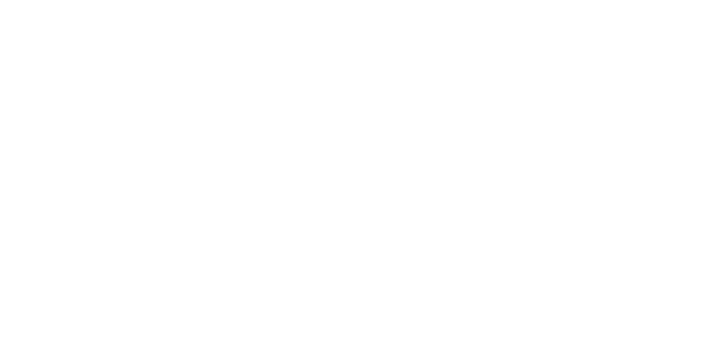 Logo-Clinique-des deux nievres blanc