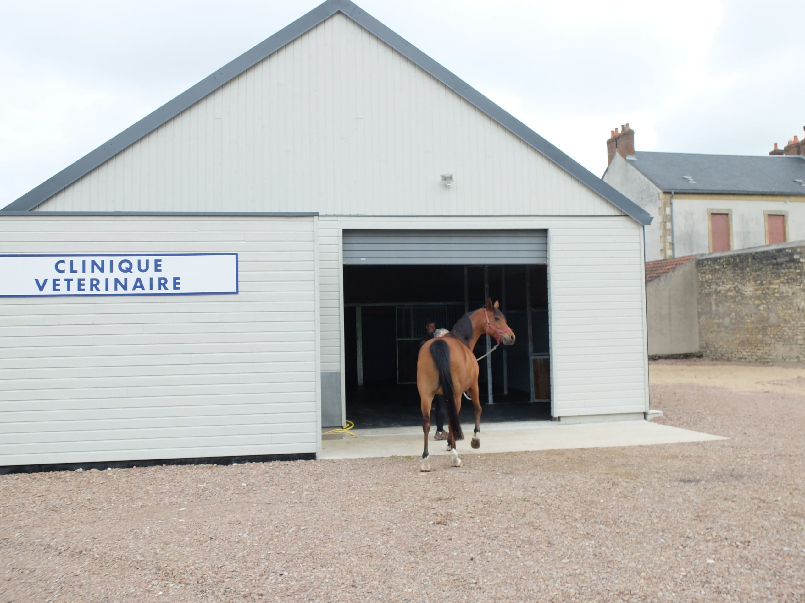 Soin equin clinique vétérinaire des deux nièvres